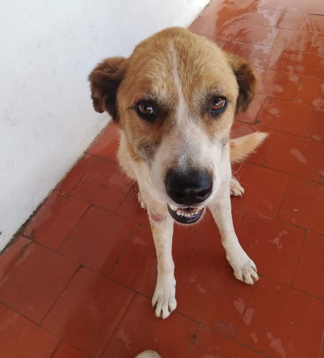 MARTÍN - Foto 1