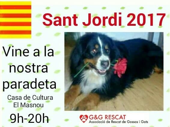 Sant Jordi 2017