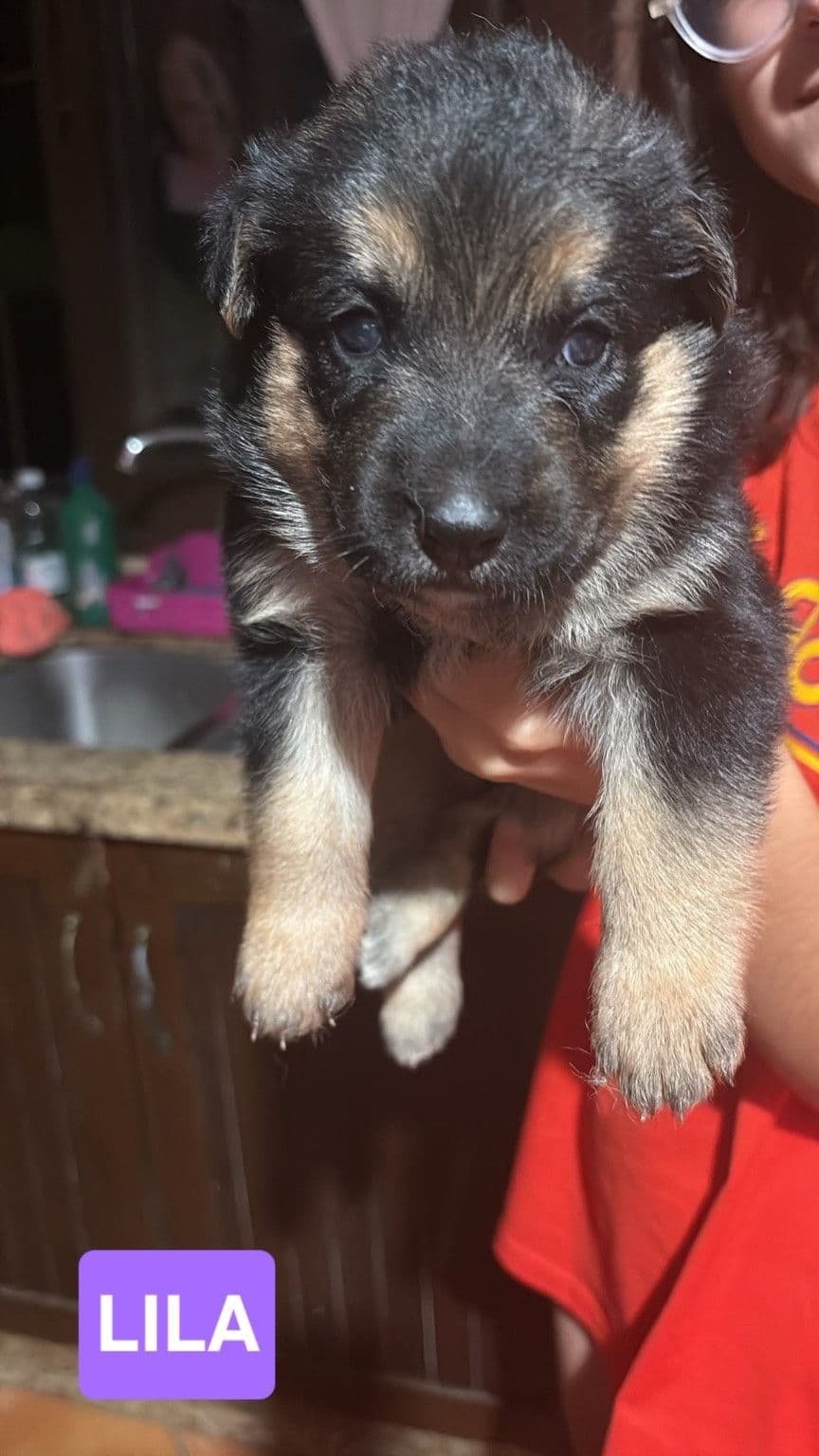 Foto de LILA