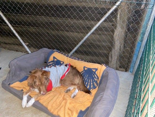 CRUNCH - Foto 2