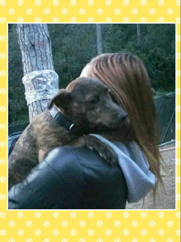 MAINE ADOPTADO!