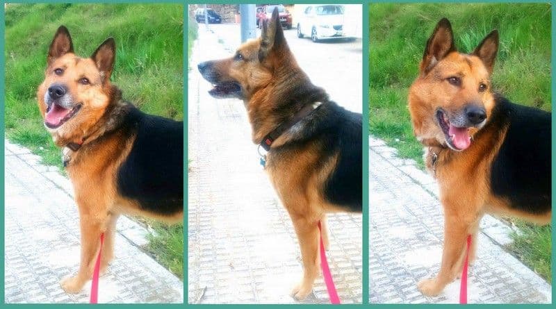 JACK - Foto 3