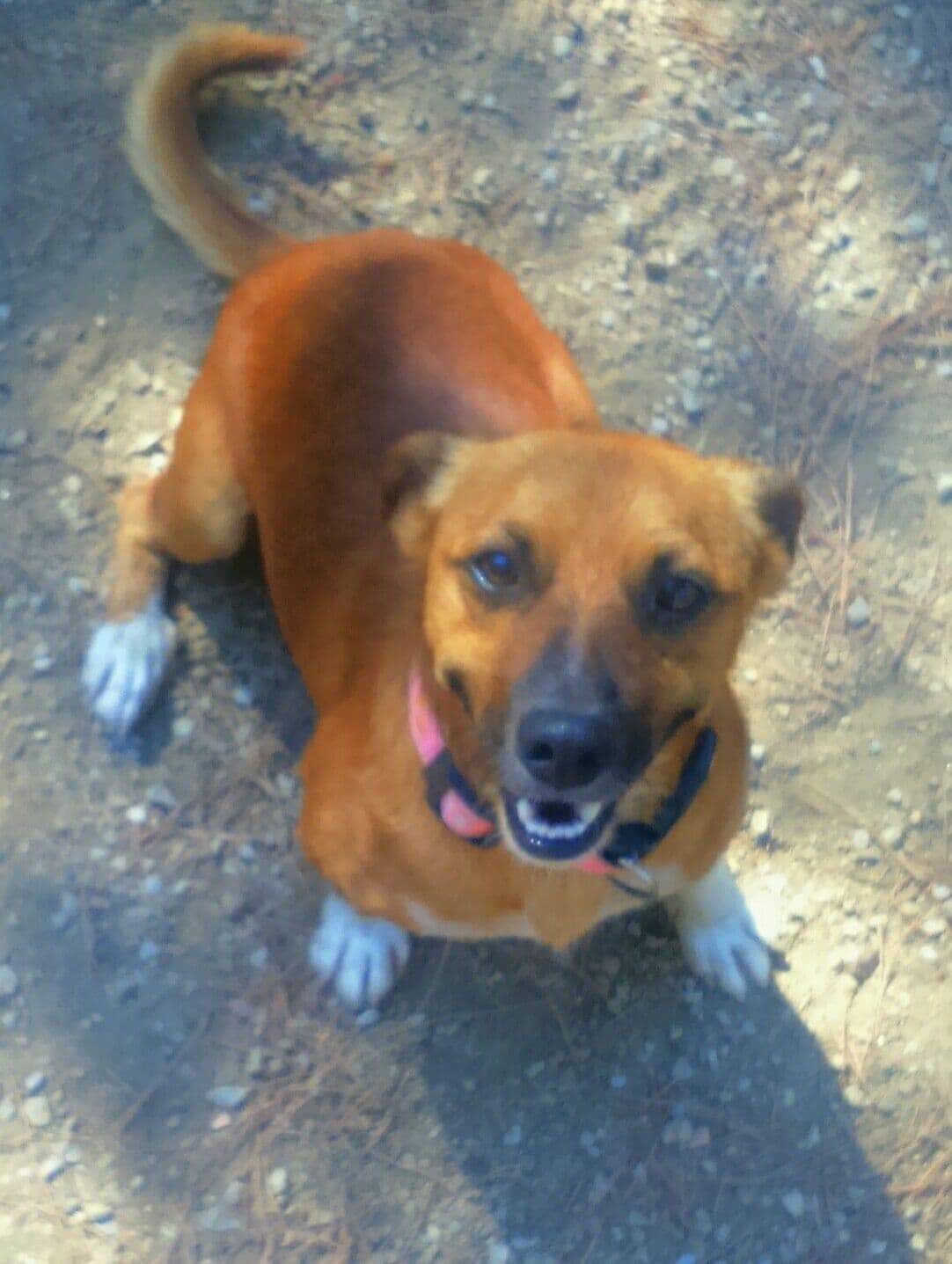 EROS adoptado!!