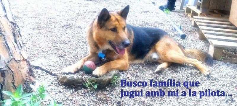 JACK - Foto 1