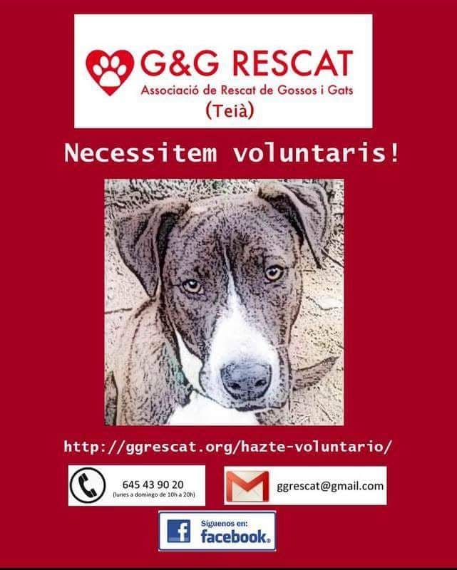¡Necesitamos voluntarios!