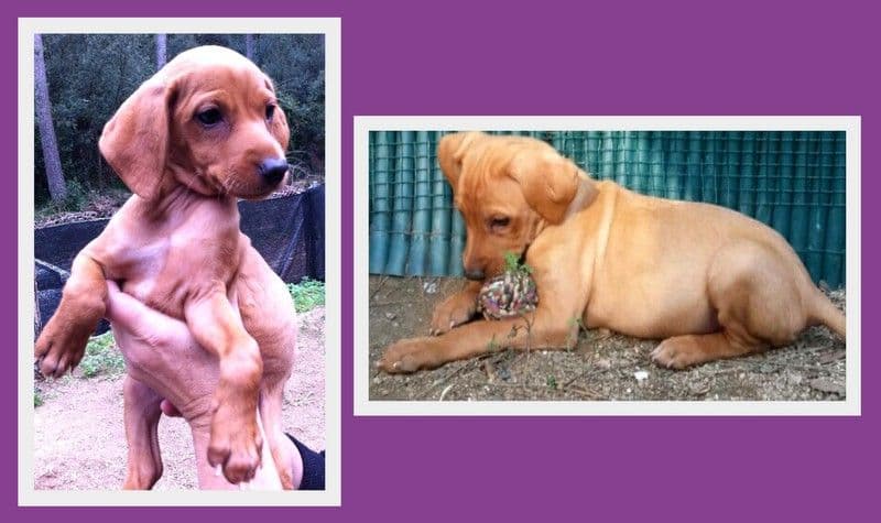 MATTY ADOPTADA!