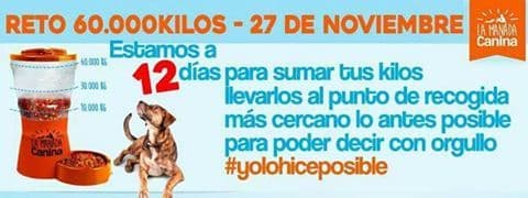 La Manada Canina