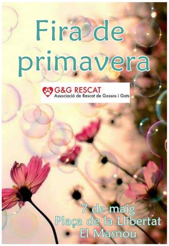 – Feria de primavera 2016-