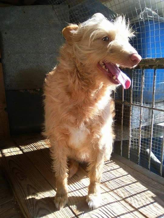 Adoptada!!
