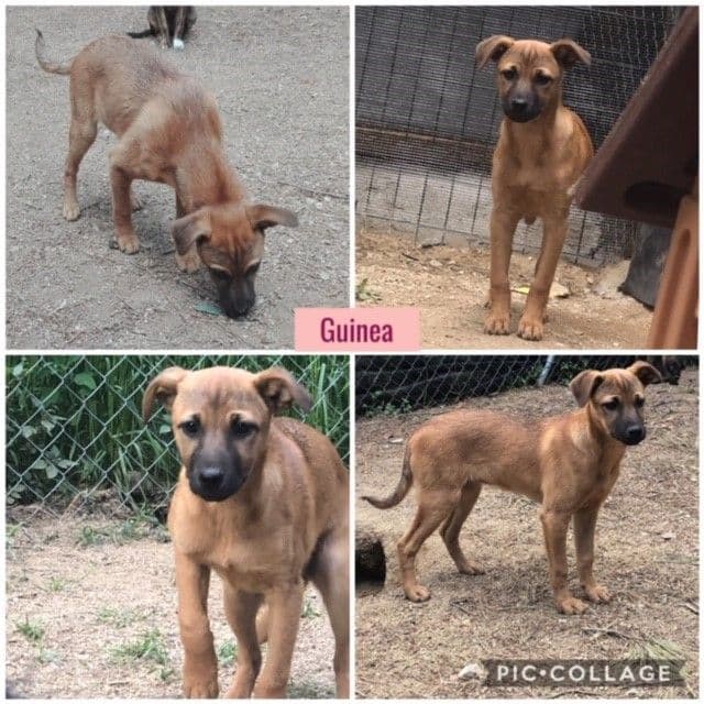 CANADÁ Y SUS BEBÉS S! - Foto 4