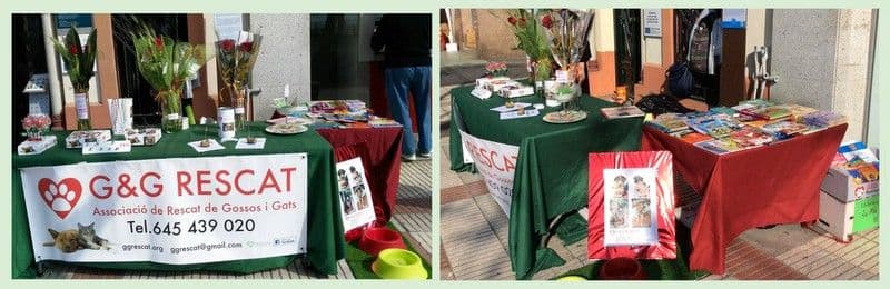 -Sant Jordi 2016-
