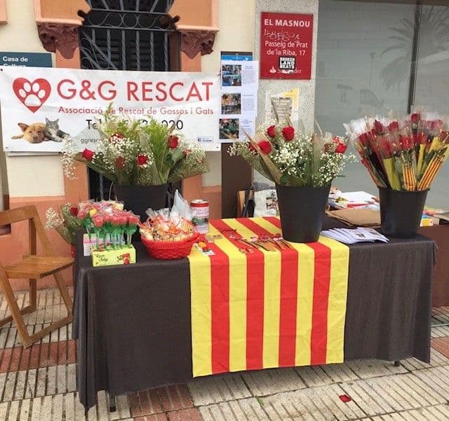 FELIZ DIADA DE SANT JORDI!