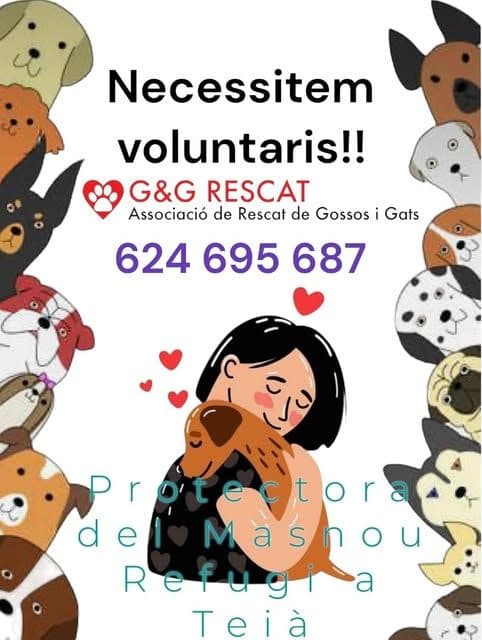 ‼️Necessitem voluntaris‼️🚨🚨🚨🚨🚨...