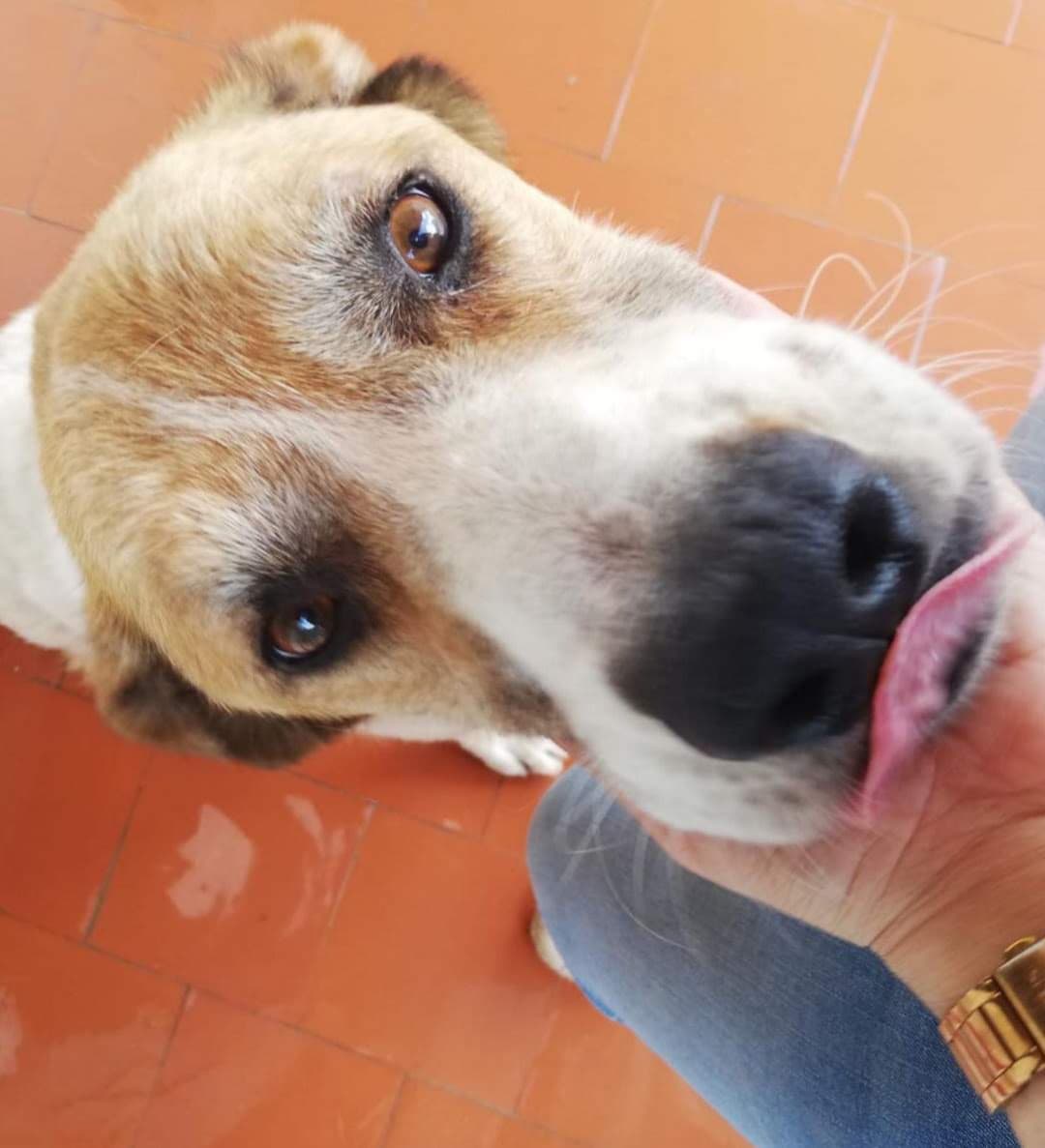 MARTÍN - Foto 2