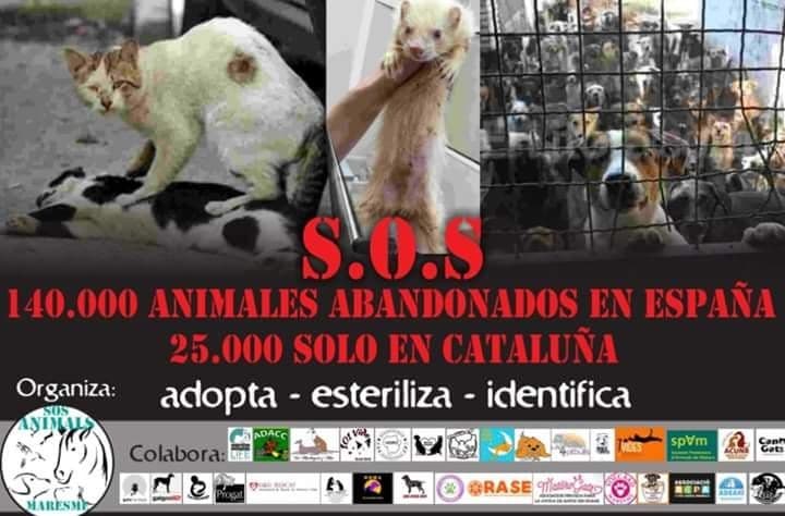 -STOP ABANDONOS-