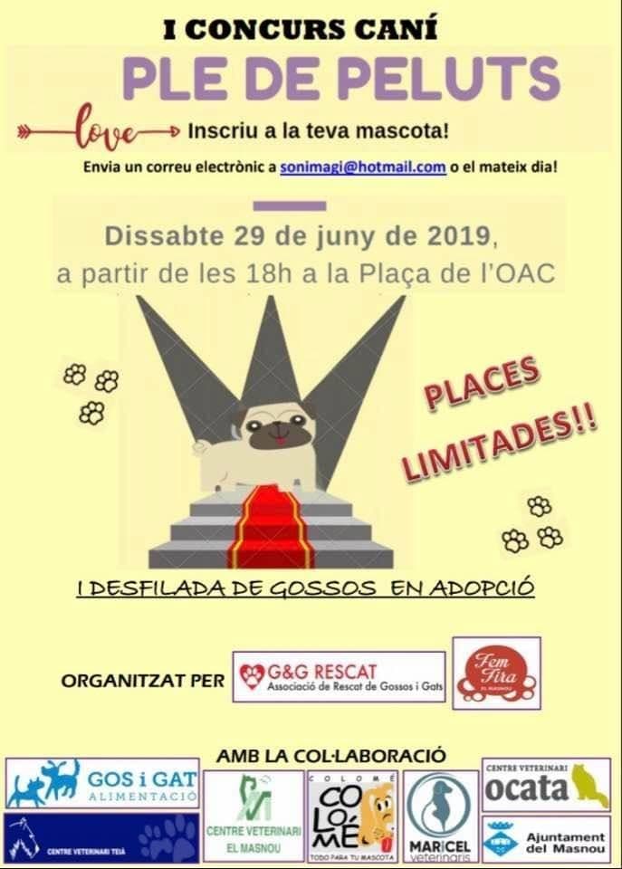 I CONCURS CANÍ PLE DE PELUTS!!! 29 Juny 2019