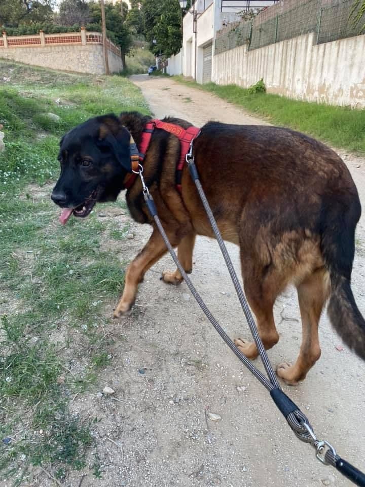 MAWI ADOPTADA! - Foto 2