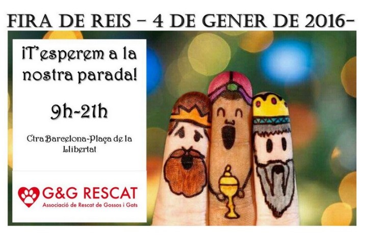 reyes g&g