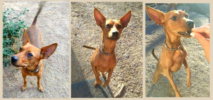 actualizado-recientemente2-001