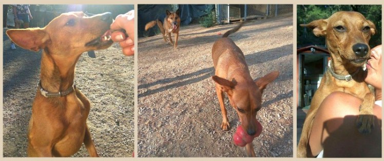 actualizado-recientemente2-002