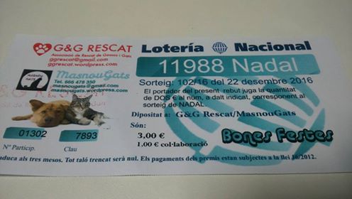 14915291_10210611051383516_8737073550149305154_n